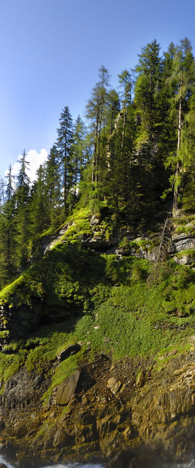 Steindlwald – bild 8