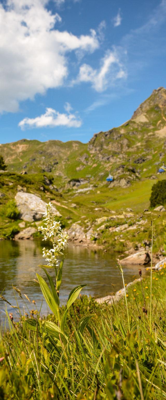Steindlwald – bild 9
