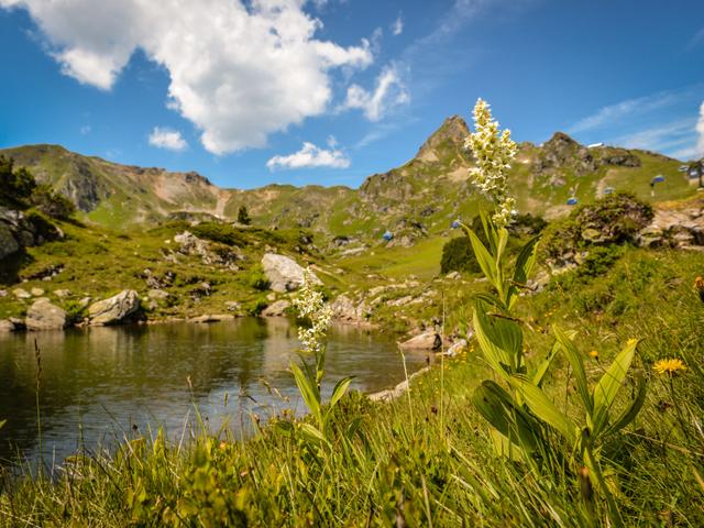 Steindlwald – billede 9