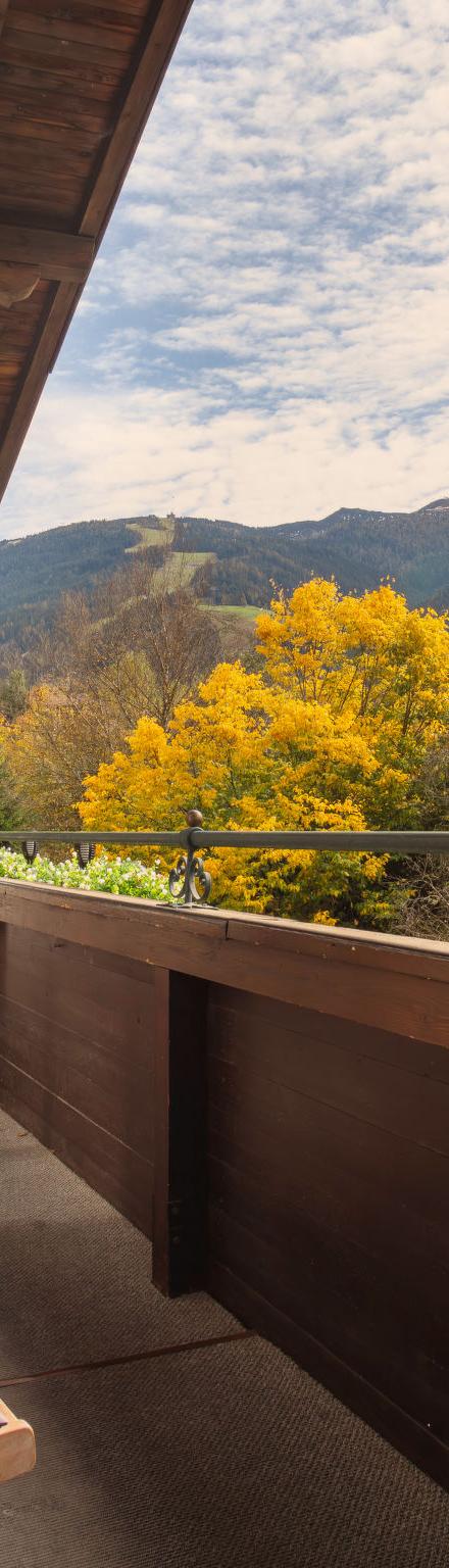 Tirol – billede 2