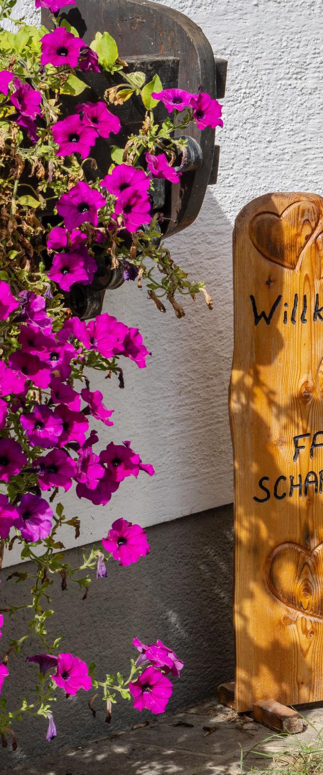 Schwarzenegg – billede 10