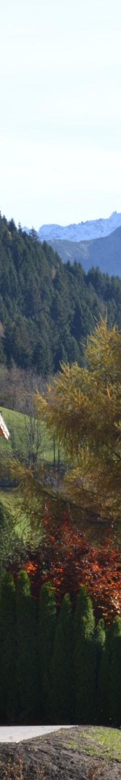 Lejlighed (5 pers.) – Alpenglück Gastein