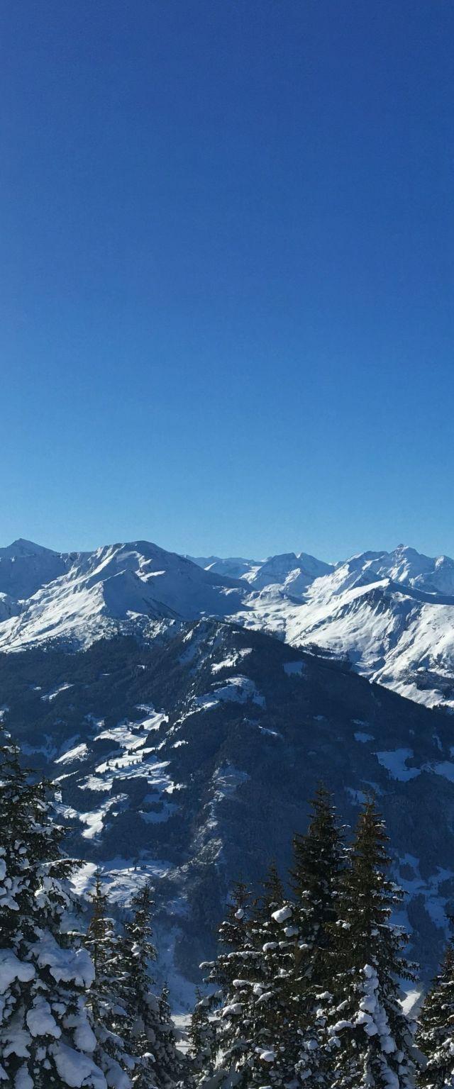 Alpenglück Gastein – billede 30