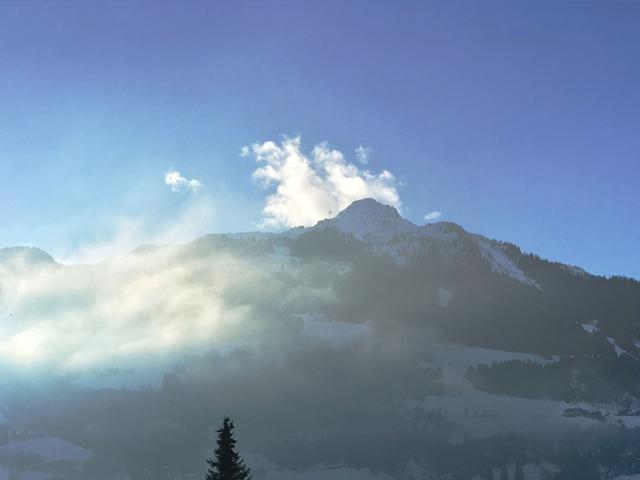 Alpenglück Gastein – billede 33