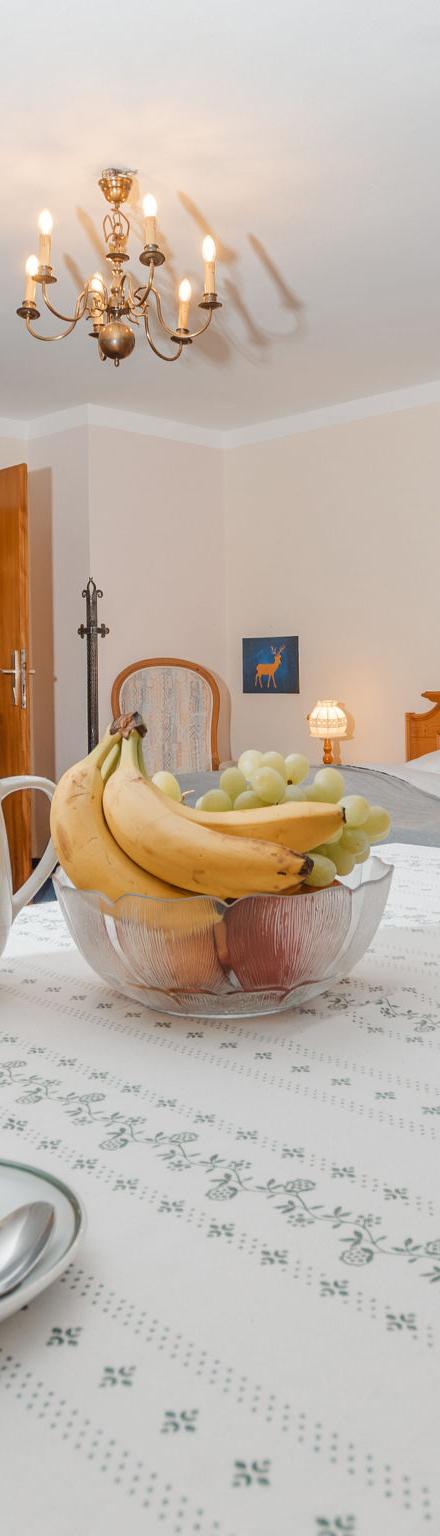 Haus Kötschach – billede 2