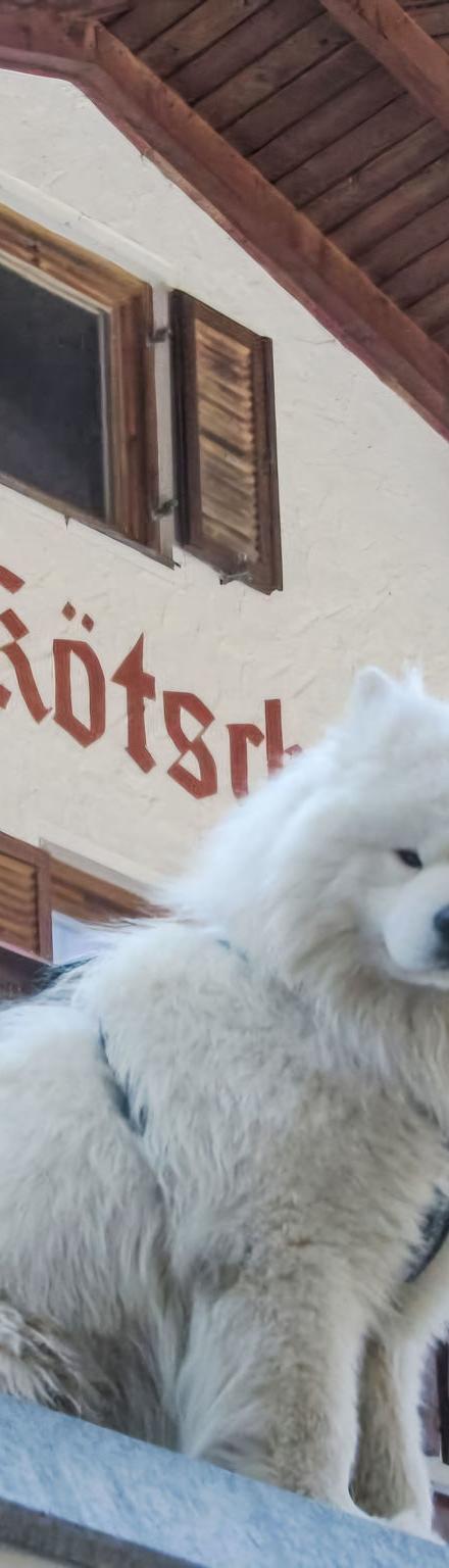 Lejlighed, Bad Gastein – billede 5