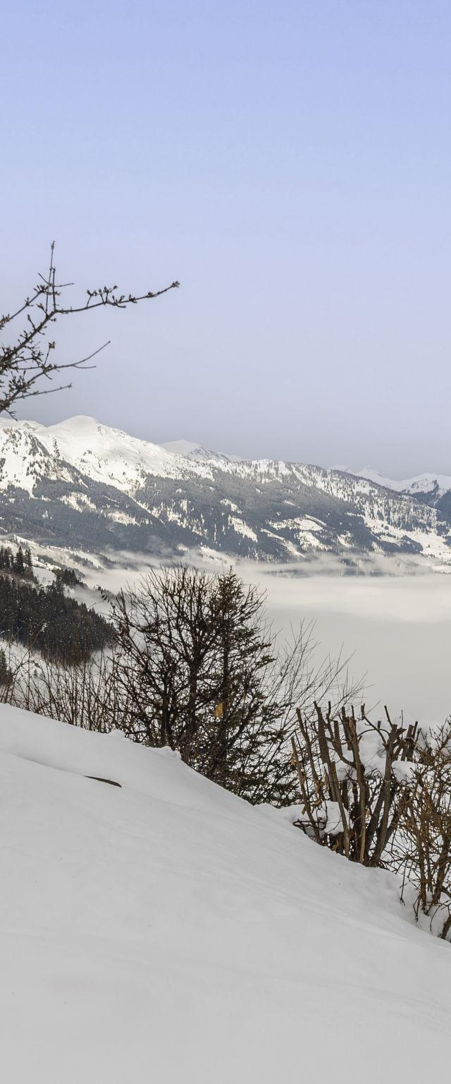 Alpenpanorama – billede 29