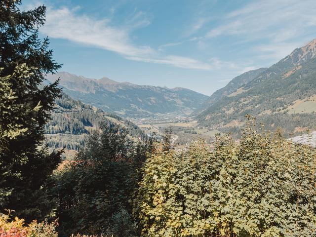 Alpenapartment – billede 35