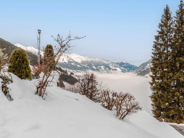 Alpenapartment – billede 37