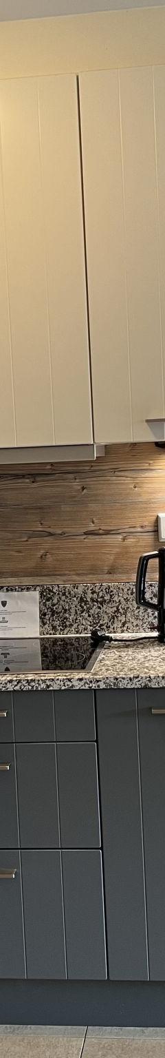 Lejlighed (4 pers.) – Ski & Golf Suites Zell am See