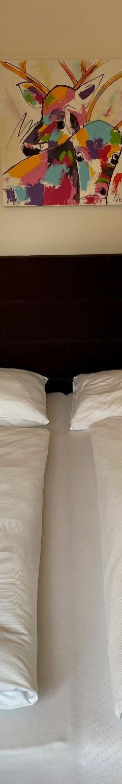 Lejlighed (6 pers.) – Lejlighed, Zell am See
