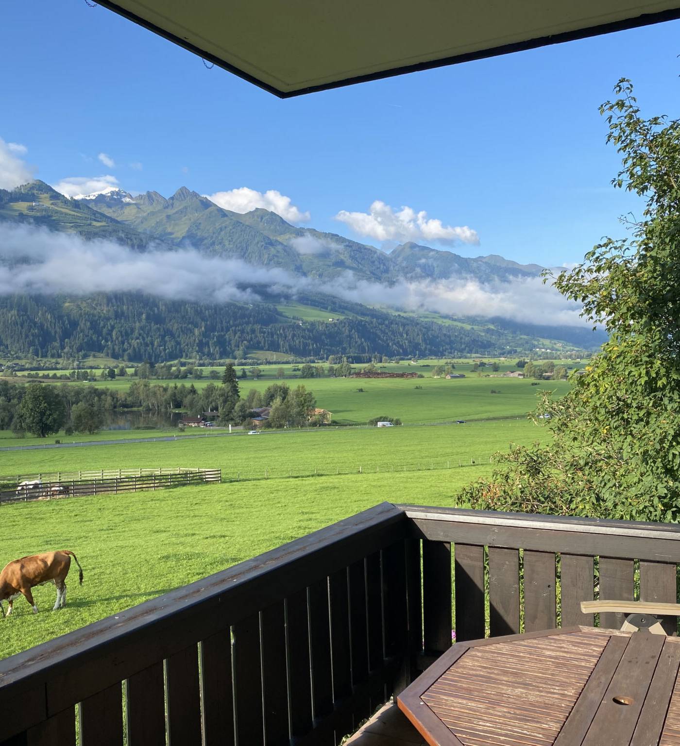 AT5700.638.1, Zell am See