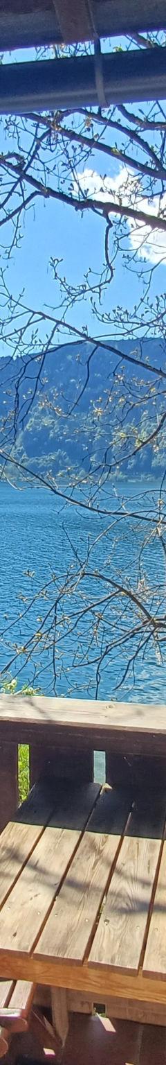 Lejlighed (4 pers.) – Waterfront Apartment 4