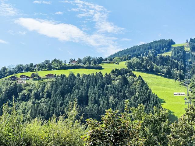Gletscherblick incl. Summercard – billede 29