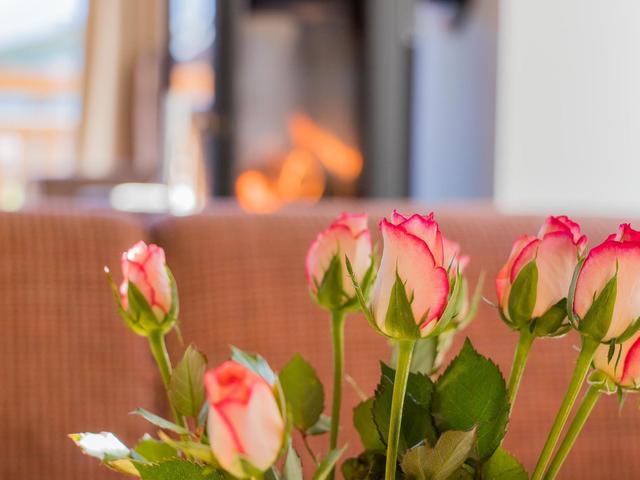 1_2 Chalet Enzian – billede 14
