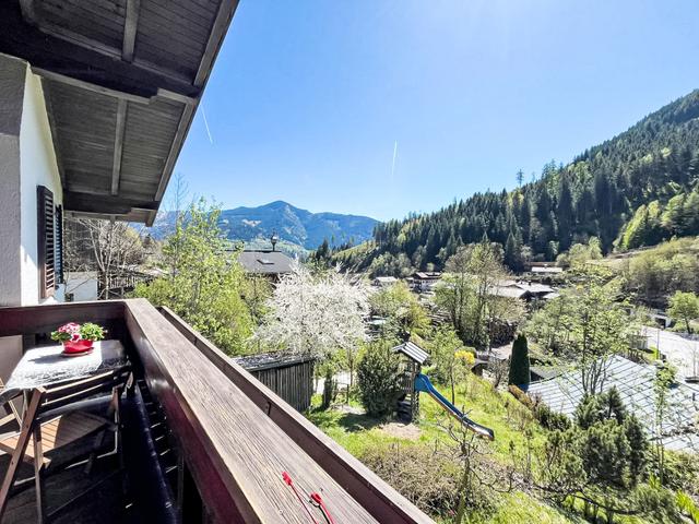 alpenHIT Zell am See – billede 42
