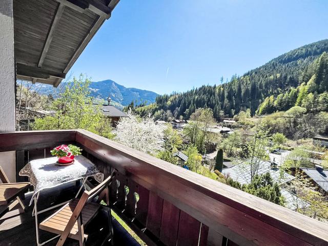 alpenHIT Zell am See – billede 46