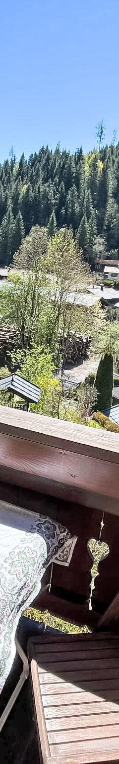 Hus (5 pers.) – alpenHIT Zell am See