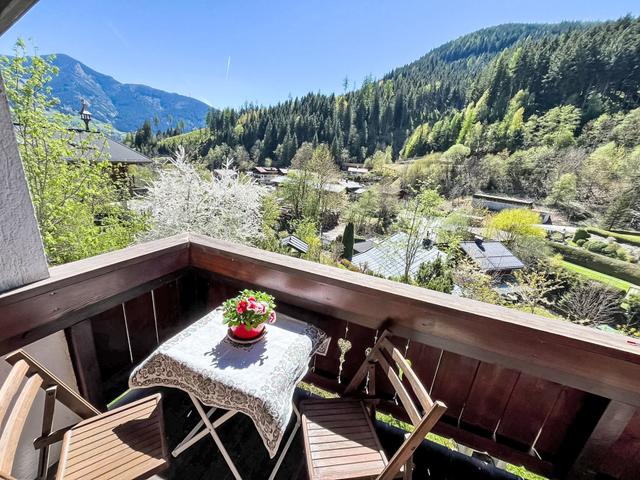 alpenHIT Zell am See – billede 5