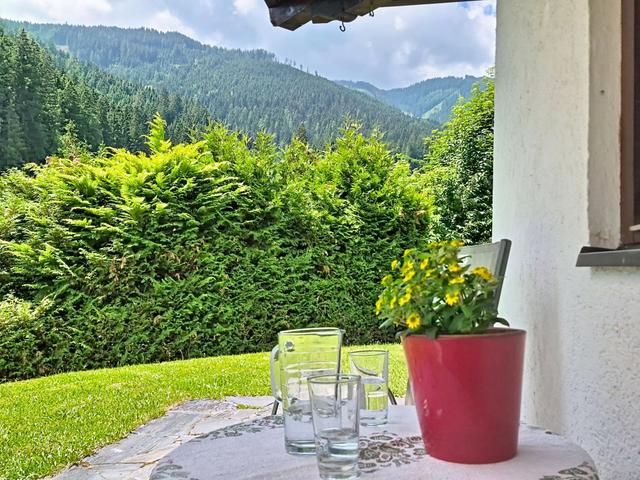 alpenHIT Zell am See – billede 61