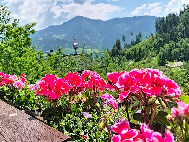 alpenHIT Zell am See – billede 75