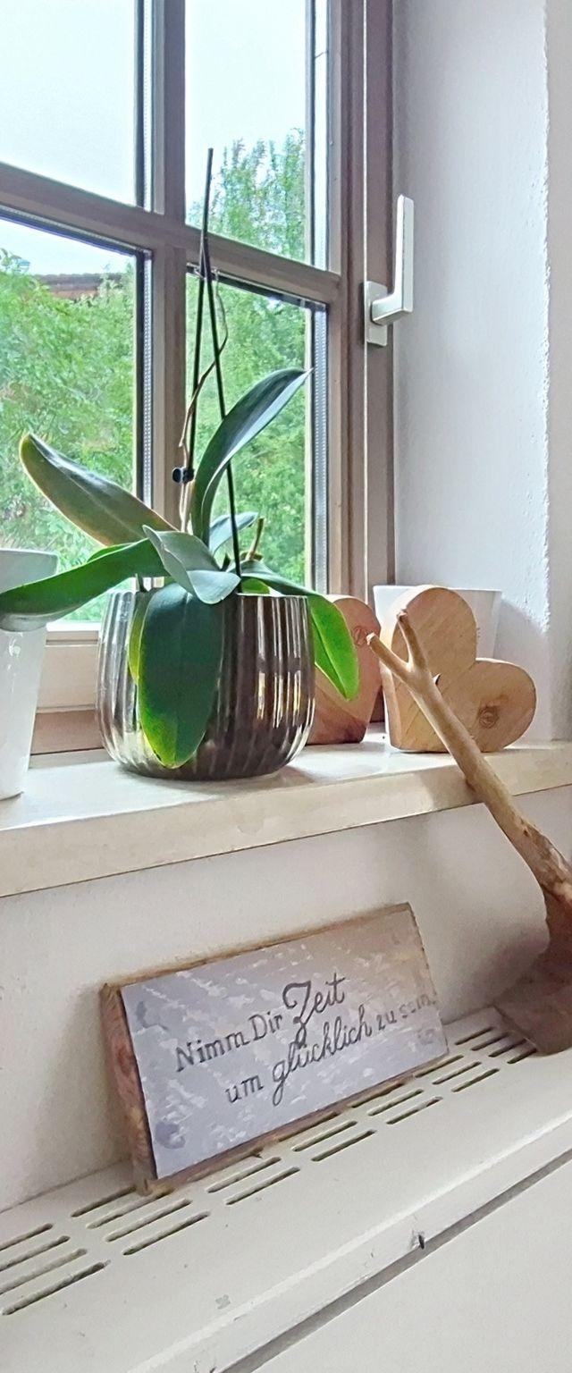 Boutique Appartement Tauernblick – billede 41