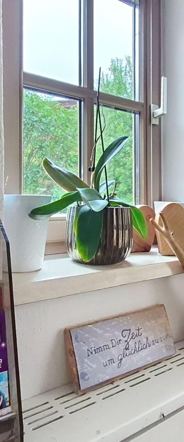 Boutique Appartement Tauernblick – billede 42