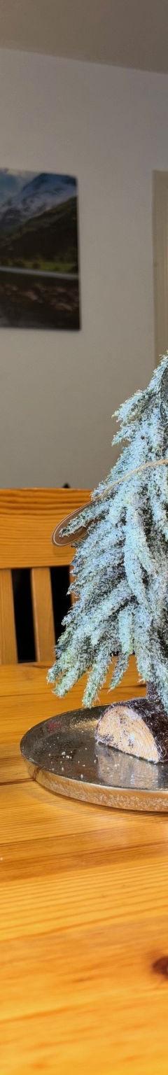 Lejlighed (5 pers.) – 2_9 Cosy Kaprun Apartment