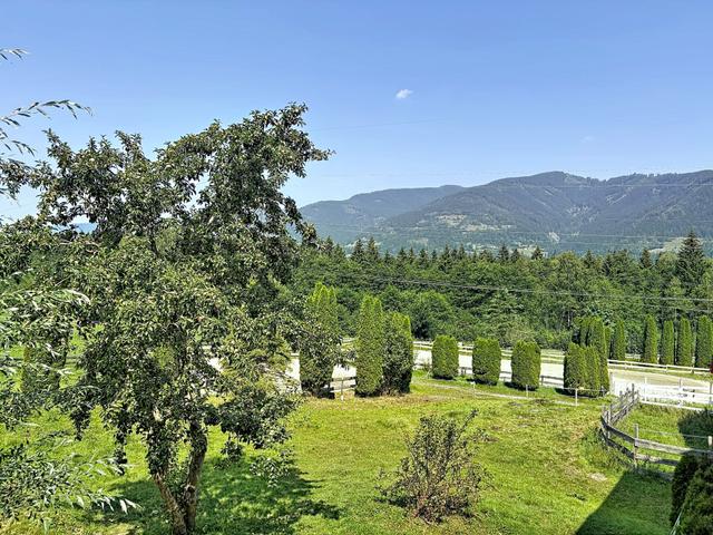 Edelweiss Suite 8 – billede 19