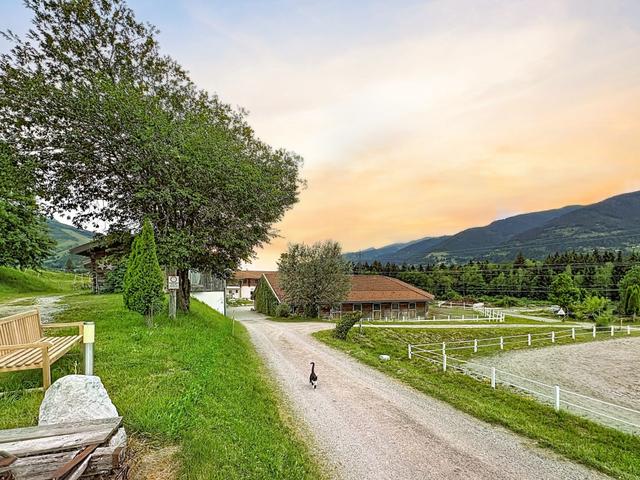 Edelweiss Suite 8 – billede 22