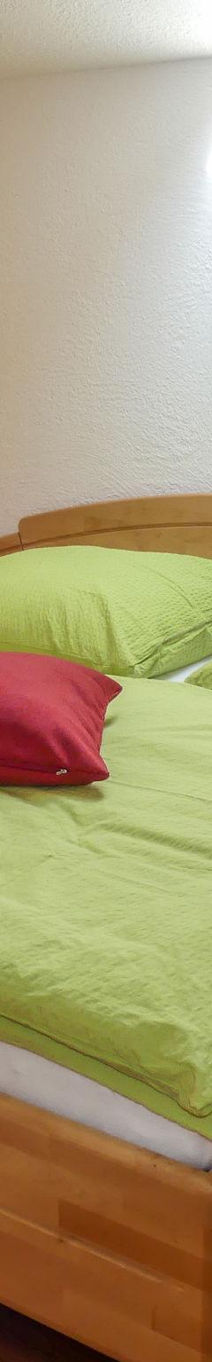 Lejlighed (5 pers.) – Haslinghof