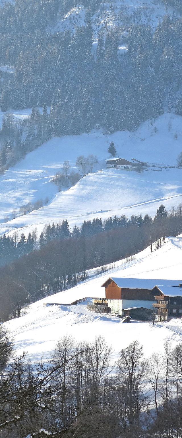 Angererhof – billede 37