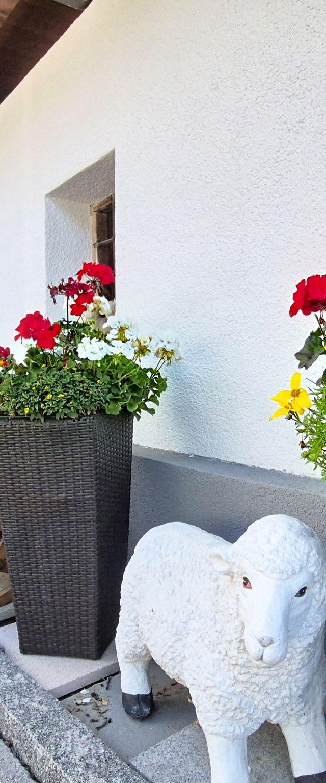 Angererhof – bild 48