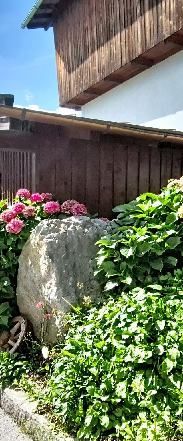 Angererhof – bild 60