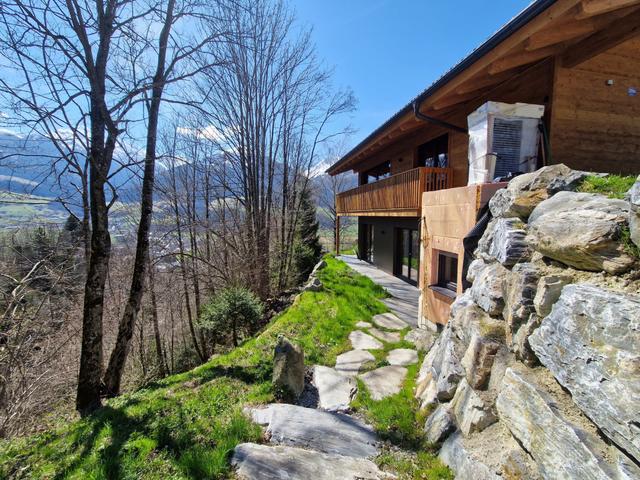 Chalet Dinkel in Niedernsill 6 -A – billede 21