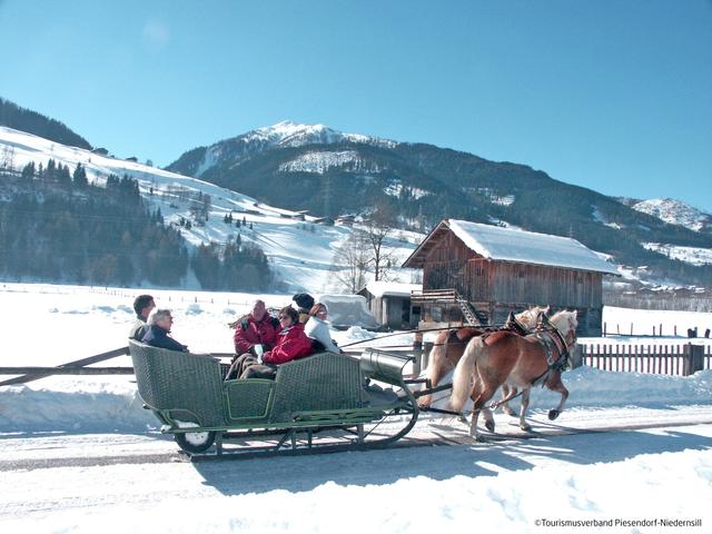 Chalet Dinkel in Niedernsill 6 -A – billede 6