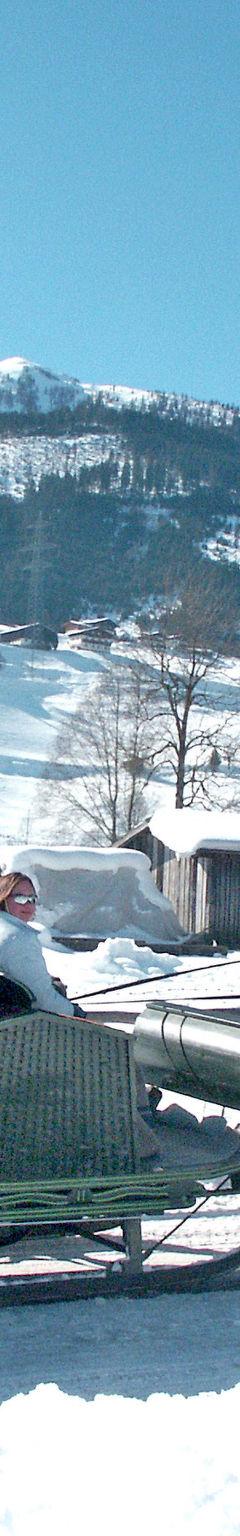 Hus (6 pers.) – Chalet Dinkel in Niedernsill 6 -A