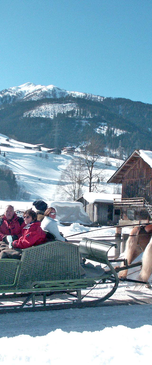Chalet Dinkel in Niedernsill 6 -A – billede 6