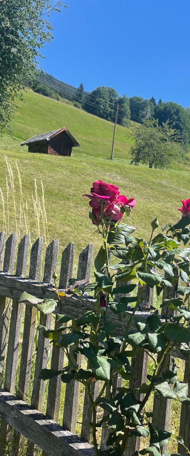 Panoramaperle – bild 65