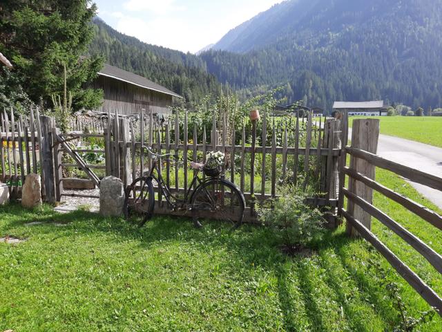 Althaus – billede 22