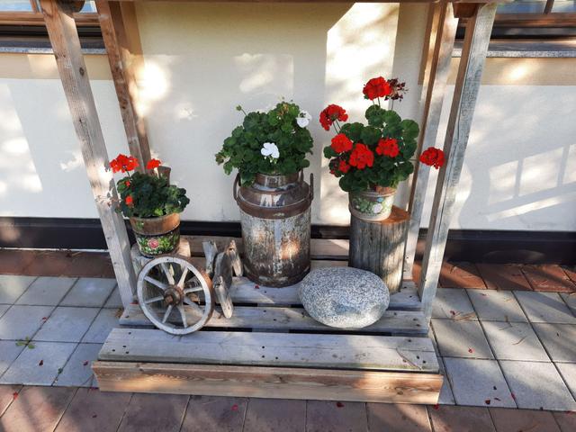 Althaus – billede 25