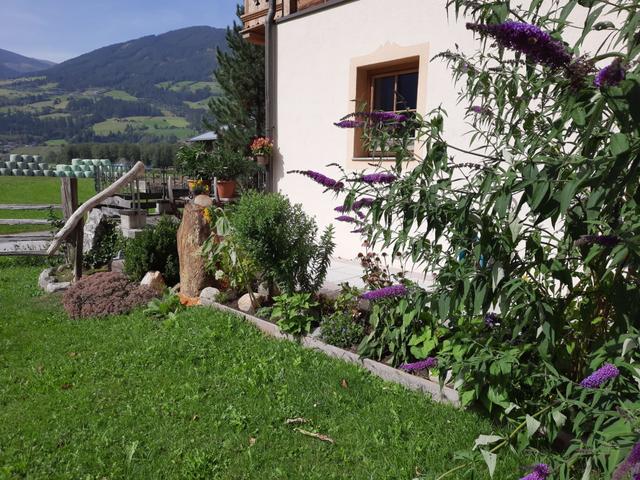 Althaus – billede 29