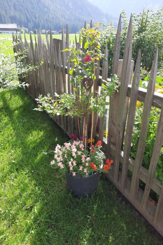 Althaus – billede 32