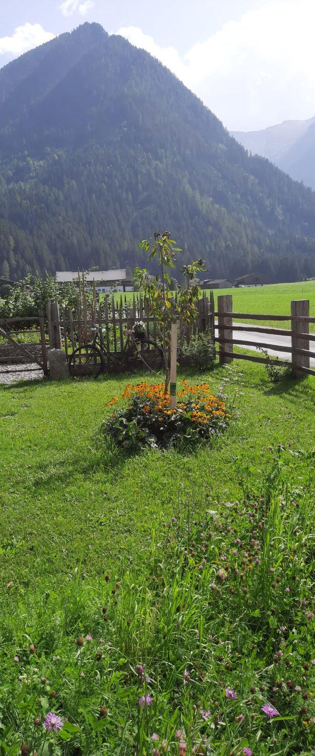 Althaus – bild 33