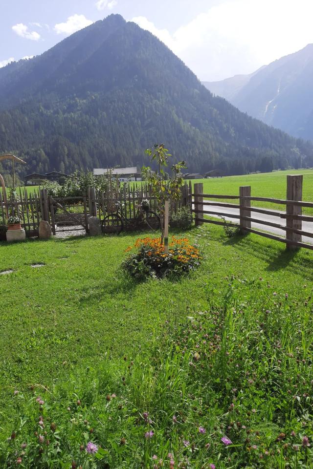 Althaus 1 – billede 17
