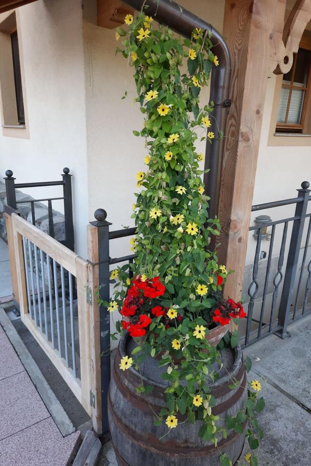 Althaus 1 – billede 22