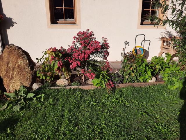 Althaus 1 – billede 27