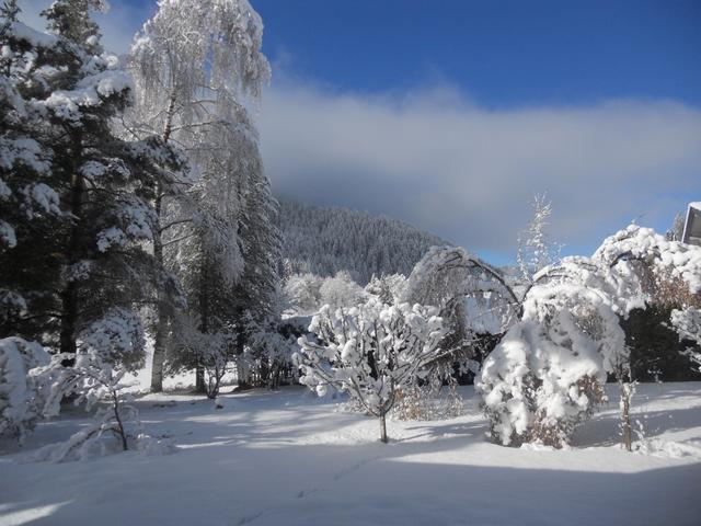 Wildkogel 2 – billede 25