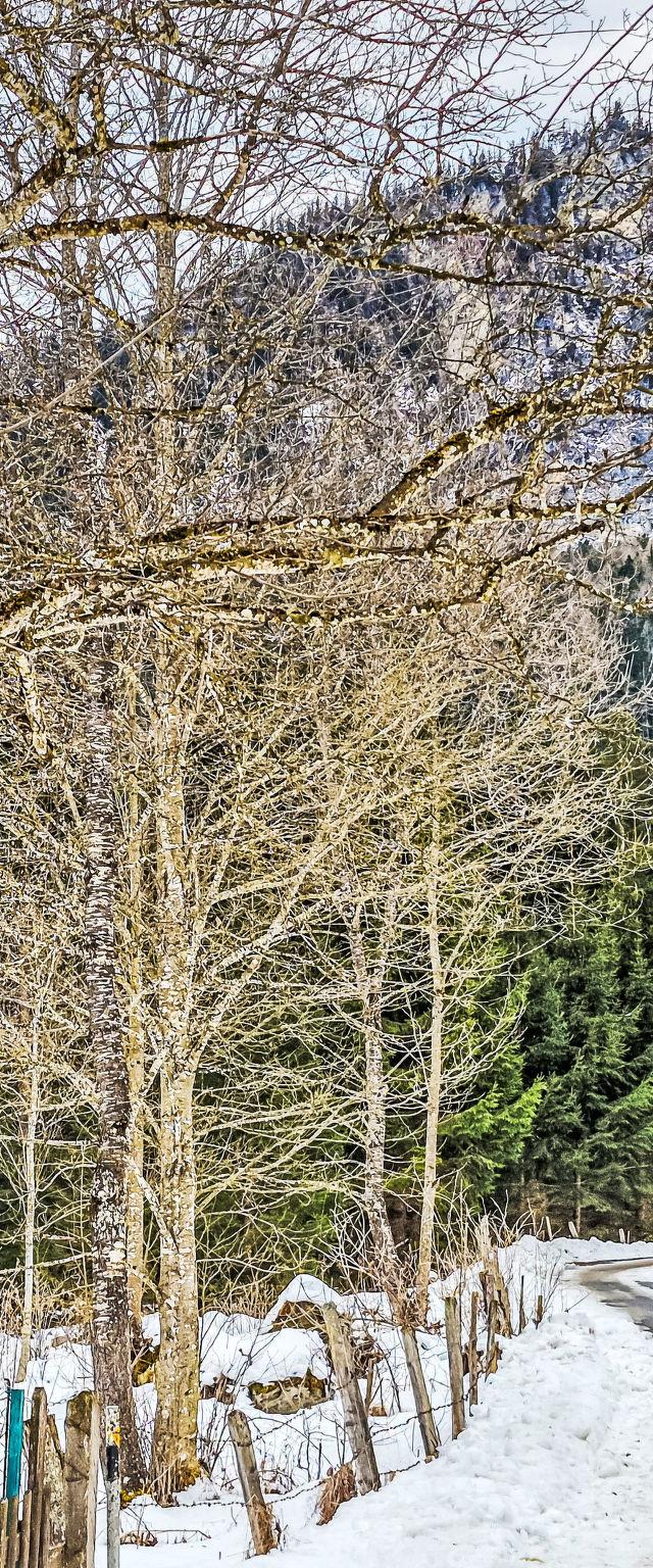 Gernkogel – bild 82