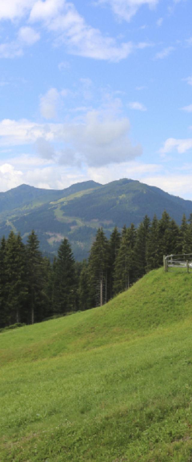Remberghütte in Viehhofen – billede 10